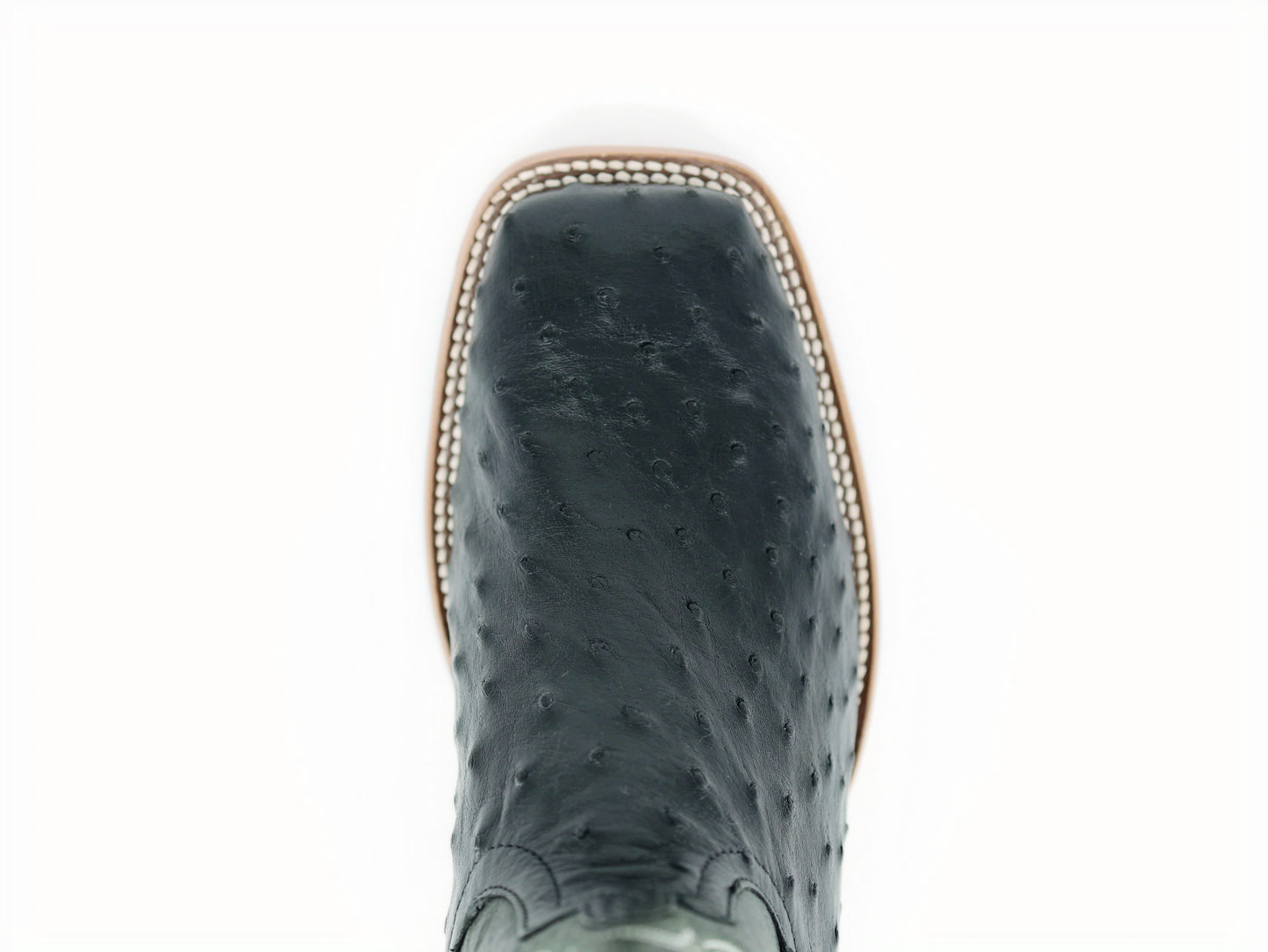 Horse Power HP8004 Top Hand Black FQ Ostrich