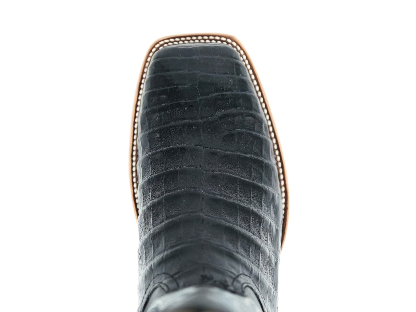 Horse Power Black Caiman Belly