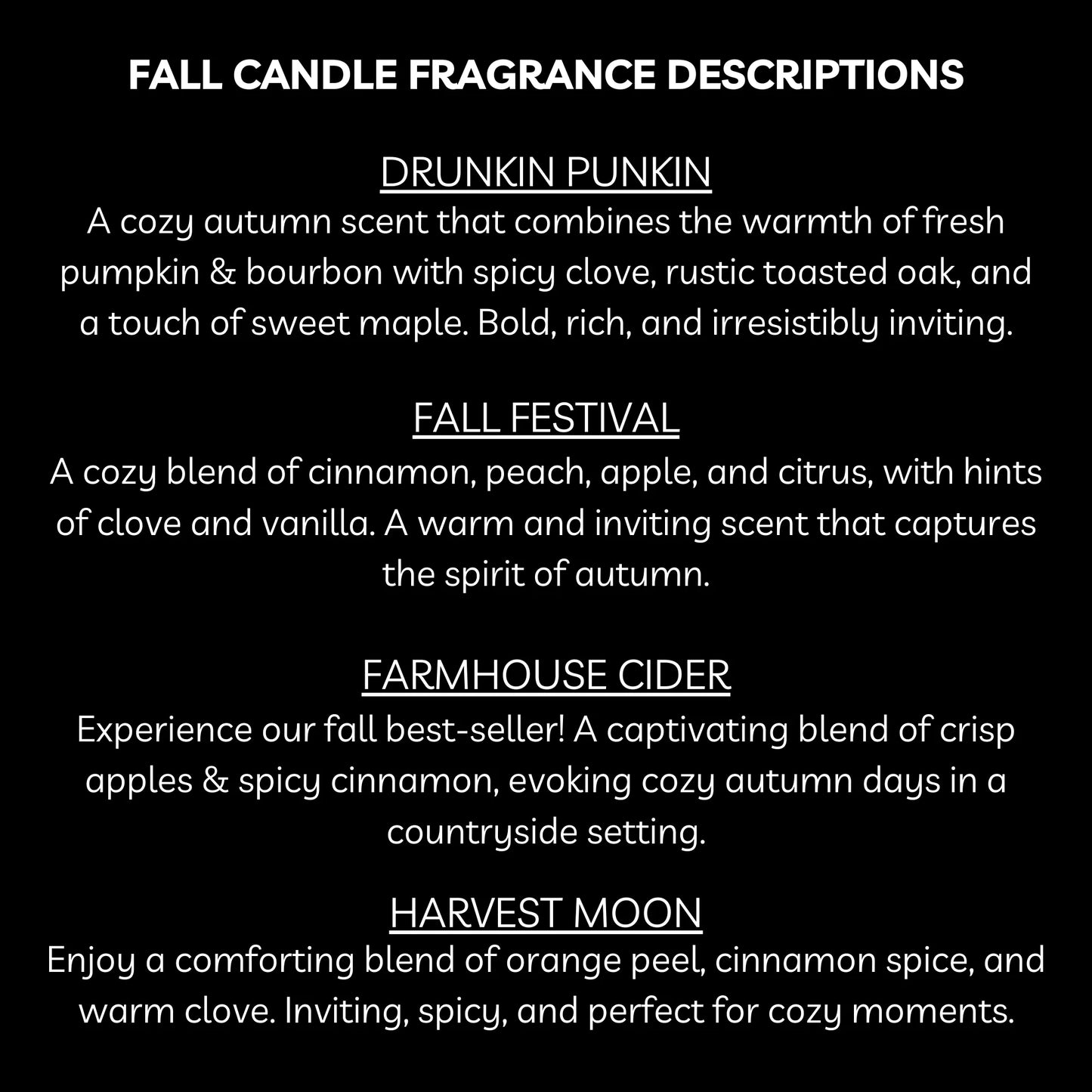 Waterville Candle Soy 2 Wick Slow Burn 16oz Candle