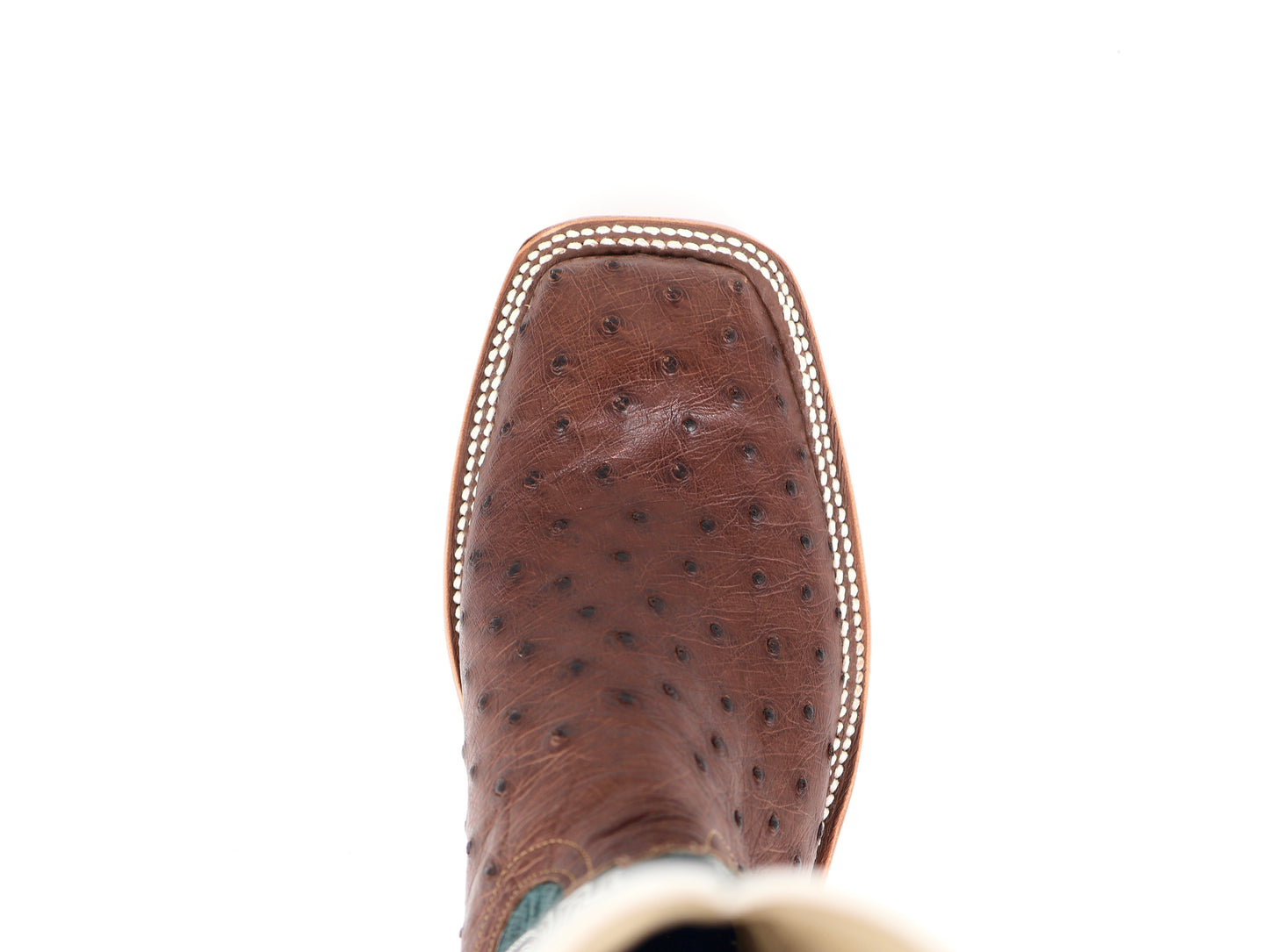 Anderson Bean S3004 Kango Tabac Mad Dog Full Quill Ostrich