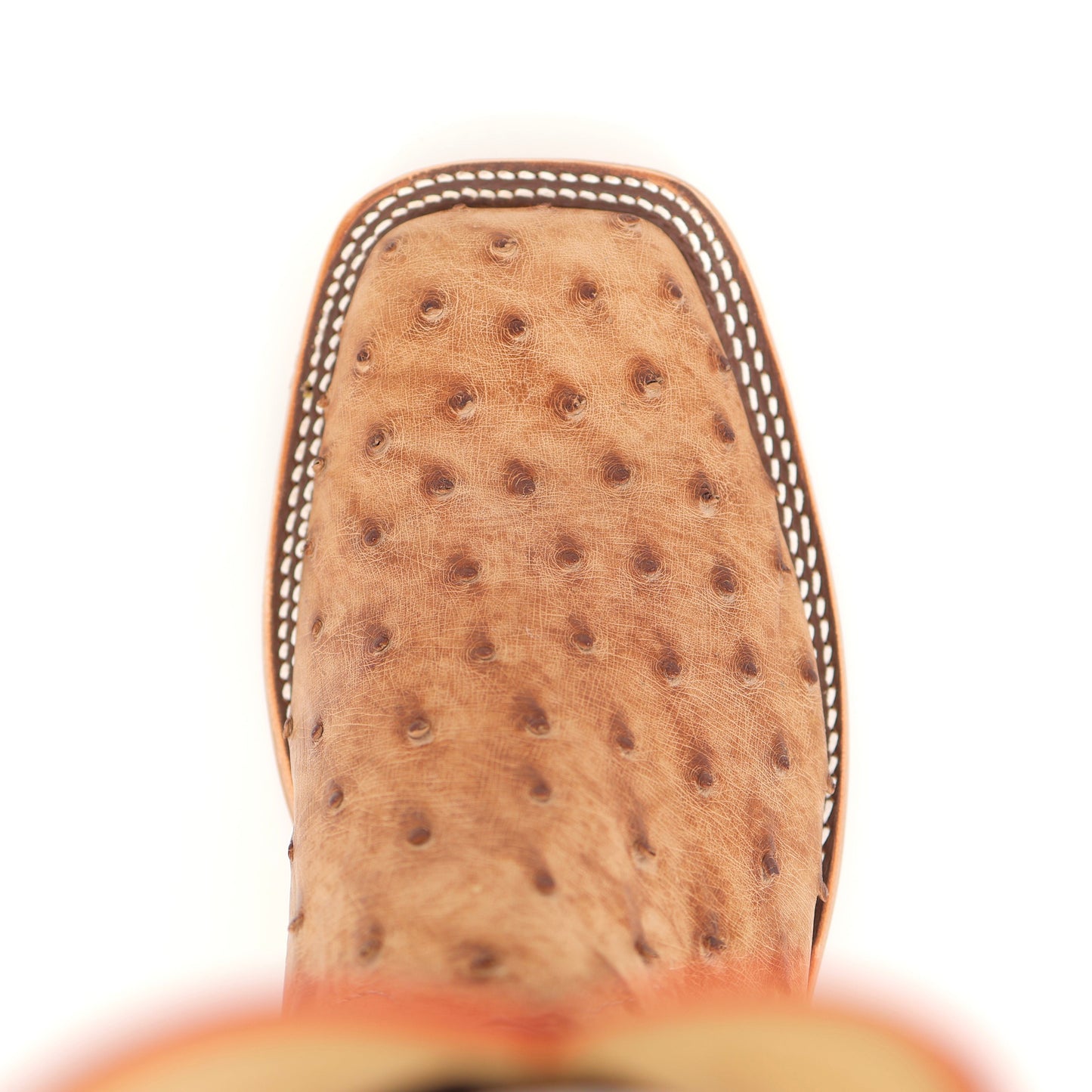 Anderson Bean S3016 Brandy Ostrich