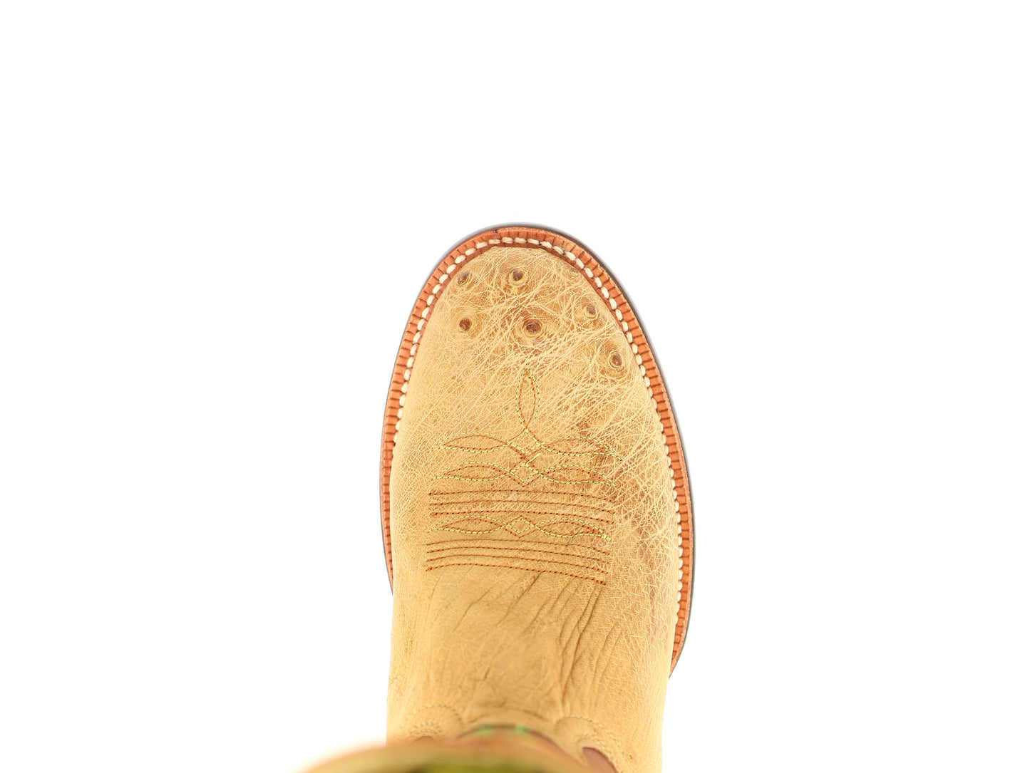 R. Watson Antique Saddle Bruciato Smooth Ostrich Sunset Tan Cowhide