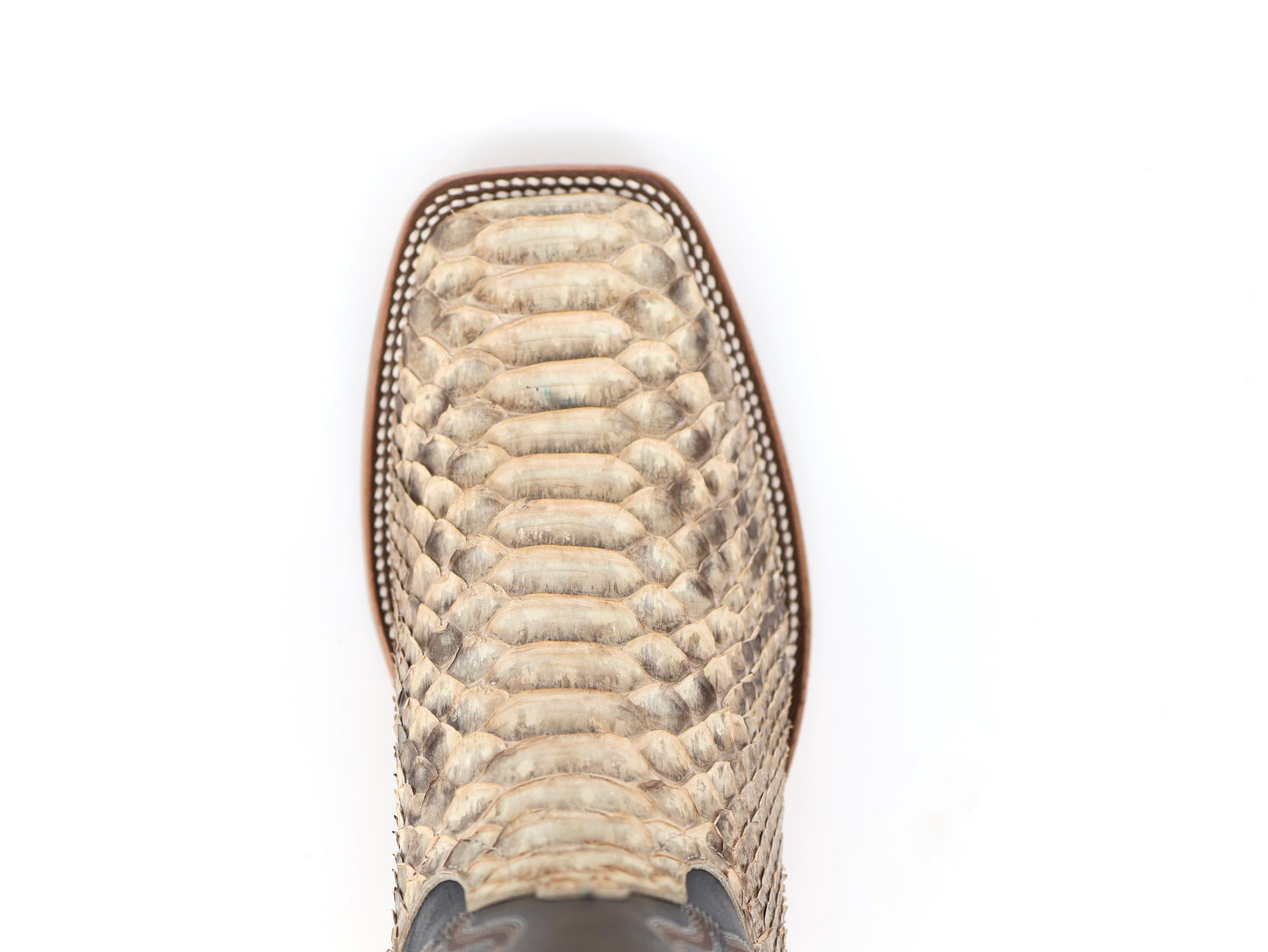Horse Power Python Back Cut Mink