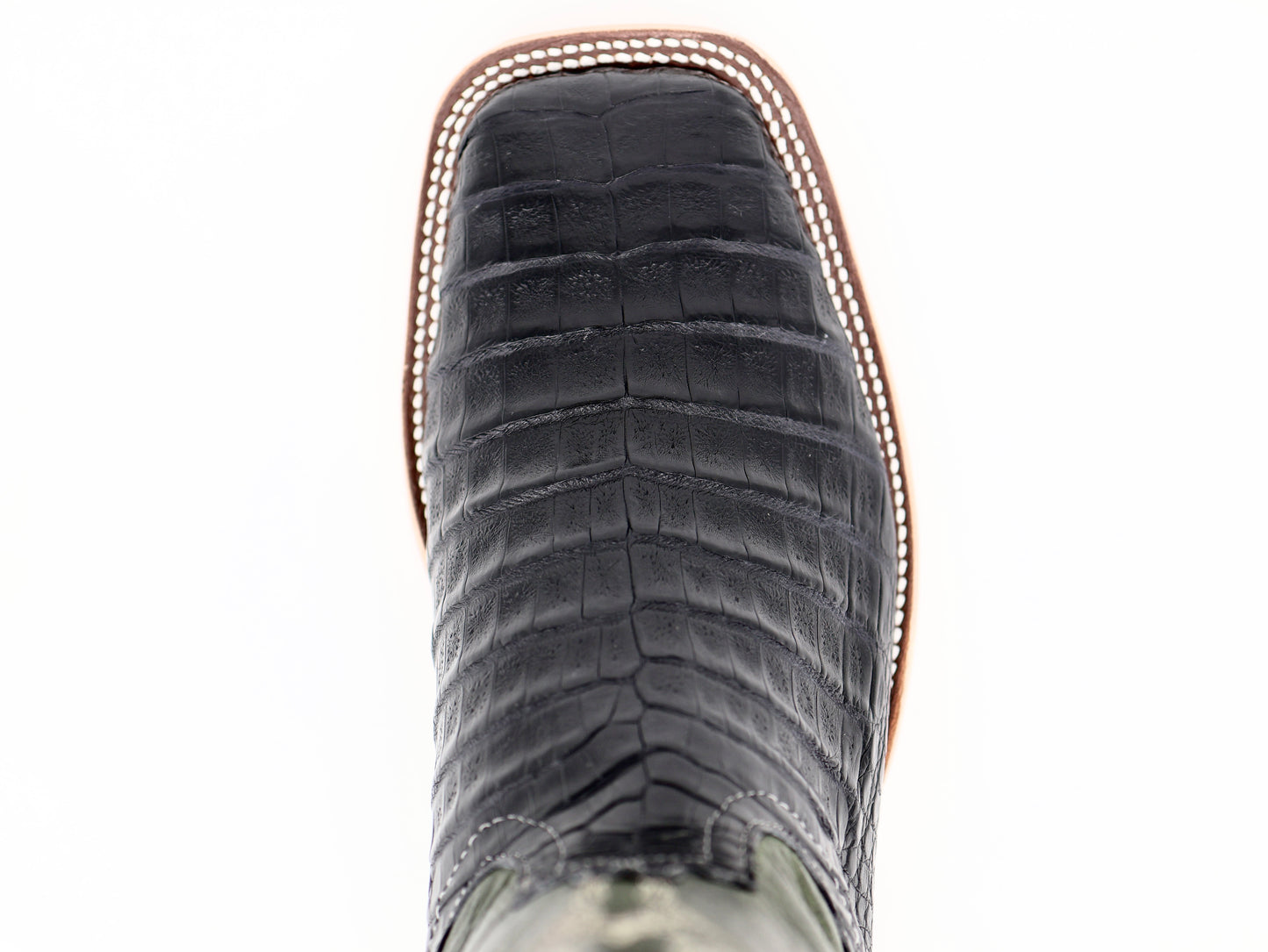 Anderson Bean Exclusive Black Belly Caiman