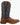 Twisted X MTH0033 MNS 13" Top Hand Chestnut & Navy