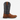 Circle A Western and Work Twisted X 13-inch western boot in chestnut leather with a navy shaft and square toe.
