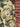 Rodeo Quincy Wild Rose Camo Jeans