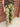 Rodeo Quincy Wild Rose Camo Jeans