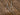 Lainey Wilson 37G00114 PE BARB WIRE DROP - SLV/CRYS - Circle A