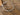 Lainey Wilson 37B00052 BR PAVE BARB WIRE CUFF - SLV/CRYS - Circle A