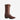 Lucchese Baker - Espresso - Circle A