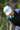 Red Dirt Hat Co RDHC-507 Birdie Blanca / Verde Blanca Cuerda 5 Paneles