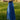 Rodeo Quincy Garden Gate Cowgirl Skirt - Circle A