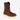 Irish Setter 83908 MNS Ashby Brown