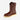 Irish Setter 83908 MNS Ashby Brown - view 2