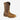 Irish Setter 83923 MNS Marshall Brown