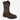 Irish Setter 83996 MNS Marshall Brown