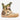 XtraTuf XKABDCMC Ankle Deck - Circle A