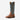 Circle A Western and Work Ariat men's brown leather cowboy boots with blue shaft and intricate stitching.
