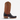 Circle A Western and Work Horse Power western boot with black leather foot, tan shaft, and decorative embroidery.