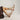 Circle A Western and Work Tecovas The Lynn cream cowhide leather western booties with snip toe and western stitching