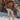 Eesome SH17342 Howdy Cowgirl Graphic Sweater in Coffee