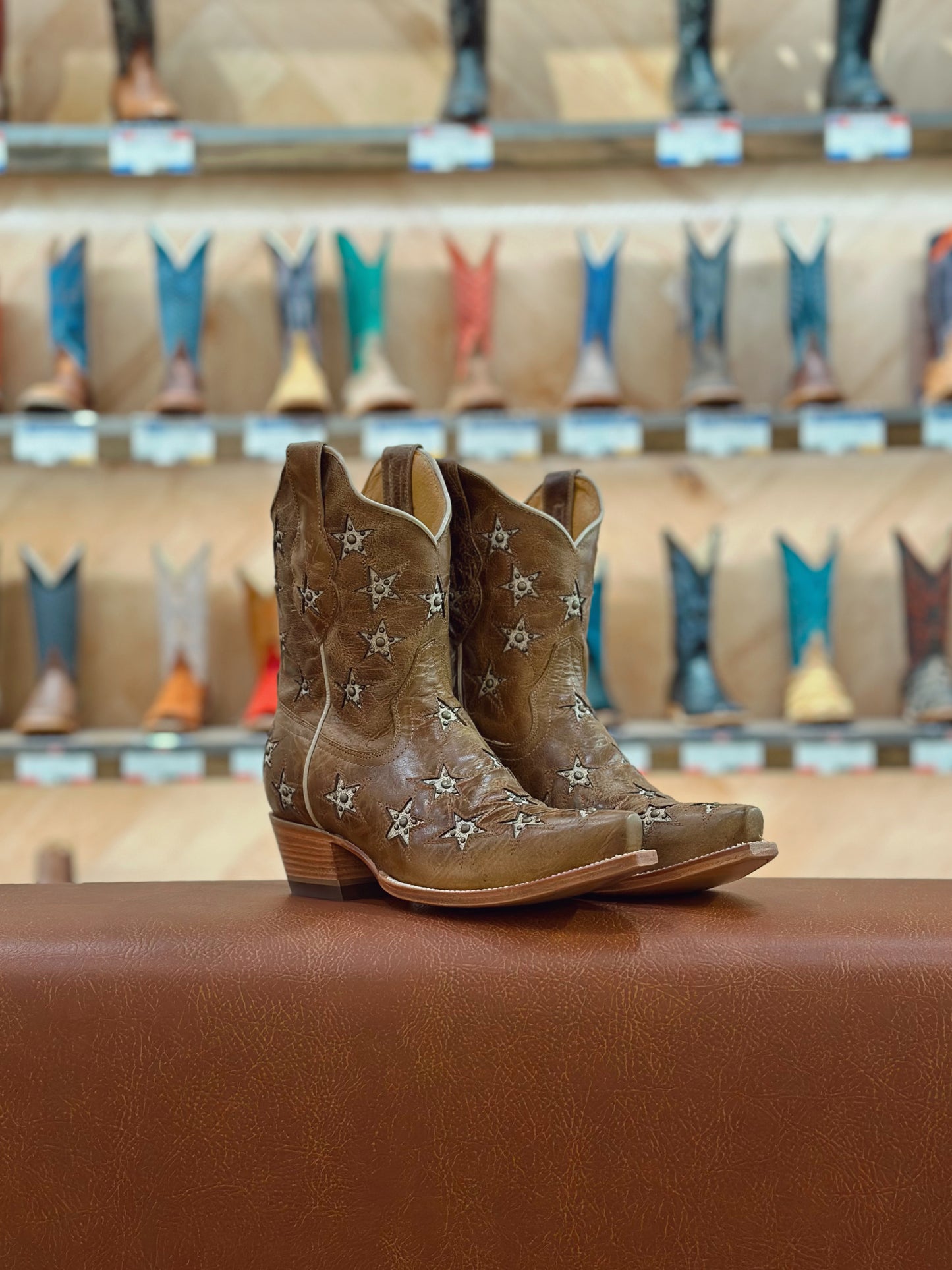 Black Star Marfa Bootie - Caramel