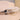 Willow Lane WLF2 Feather Hat Accent Sweet Cream