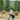Circle A Western and Outdoor tan Outback Trading Ace shirt jacket worn by a man in a cowboy hat at a horse ranch